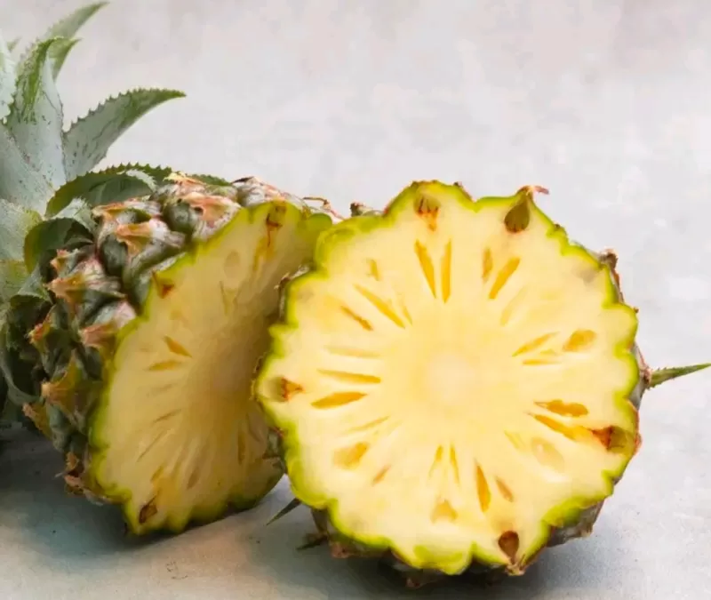 Nanas Madu Konvensional 1pcs